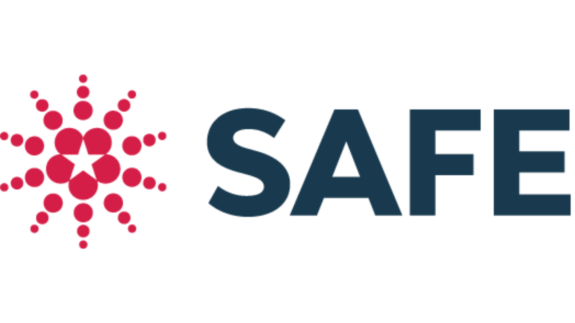 SAFE logo