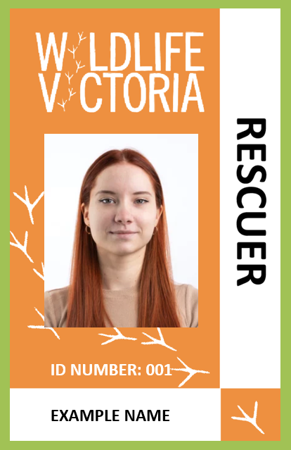 example ID badge image