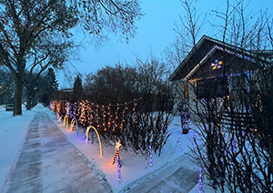 Winterscapes Lights Entry - Image 1