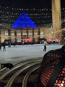 Winterscapes Lights Entry - Image 5