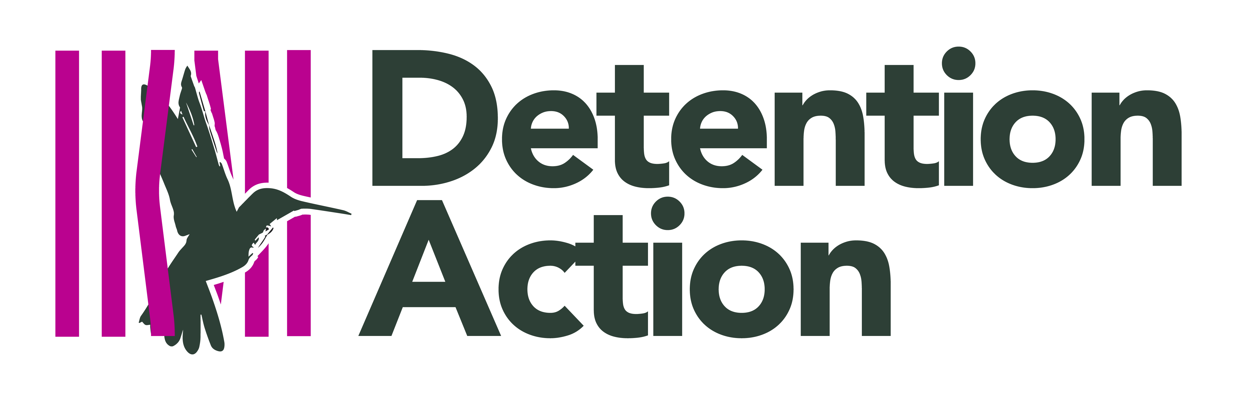 logo for Detention Action