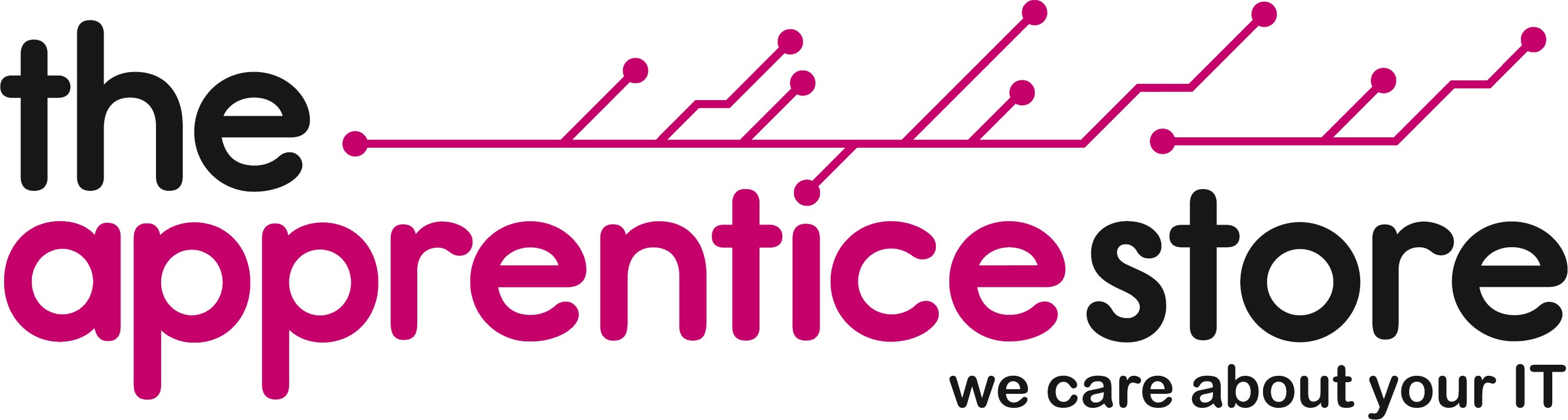 logo for The Apprentice Store