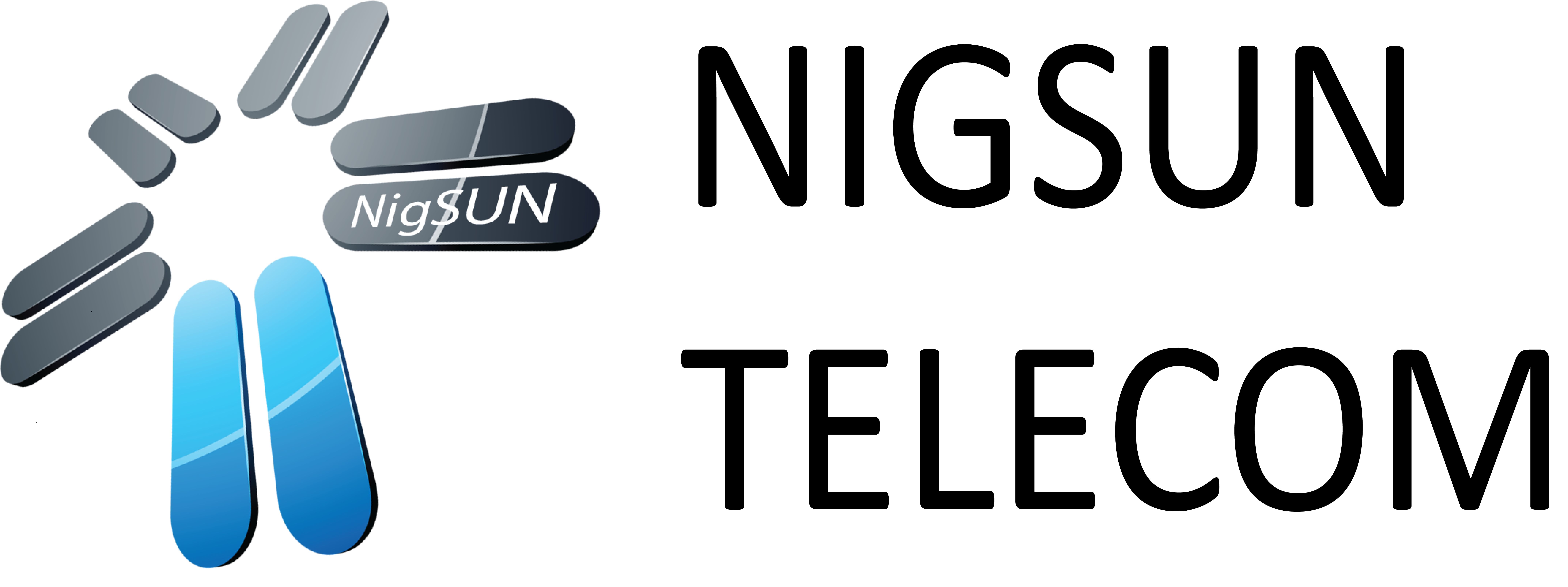 logo for NIGSUN LIMITED