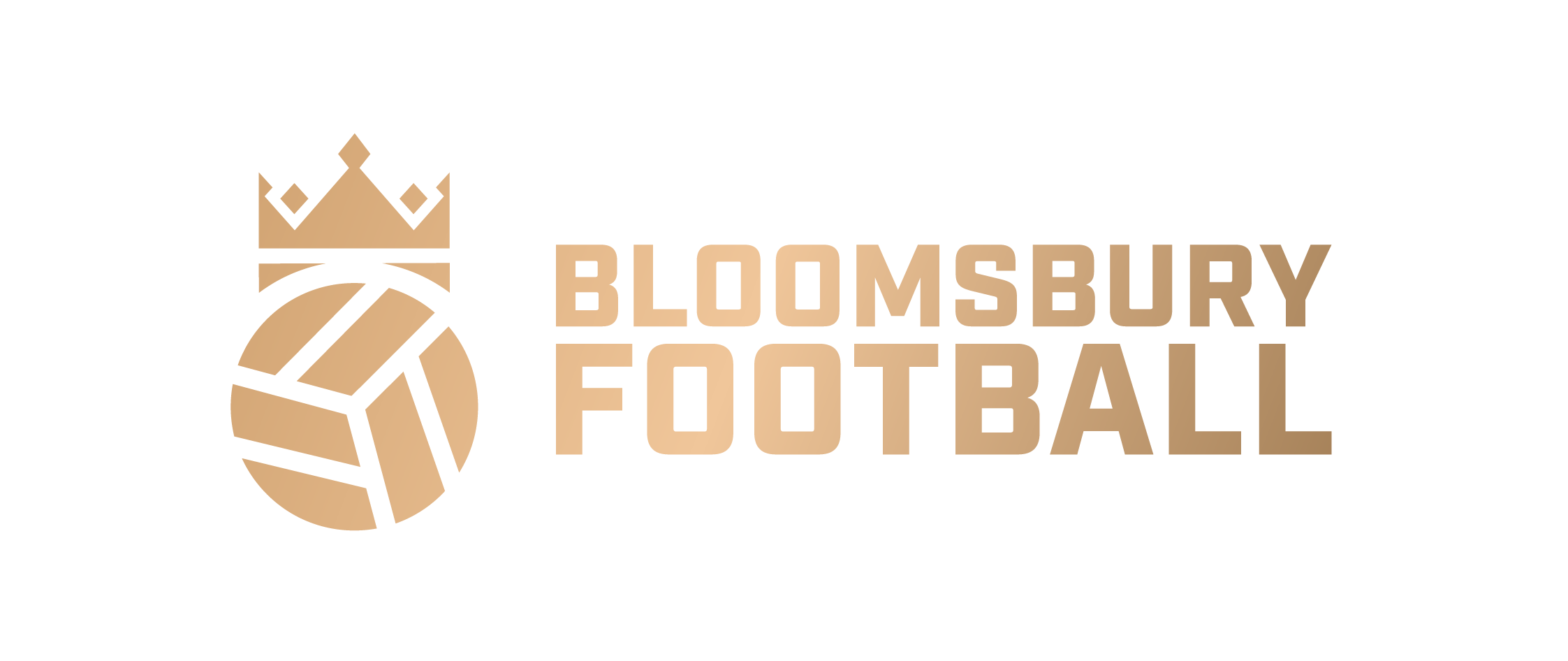 logo for Bloomsbury Football Foundation