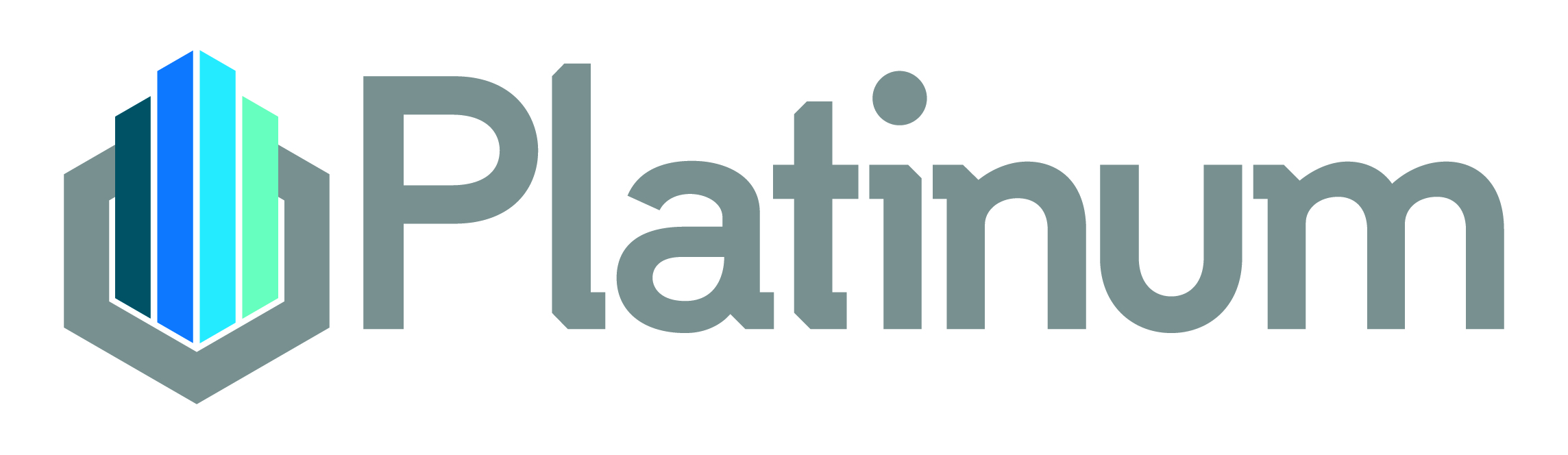 logo for Platinum Facilities & Maintenance Services Ltd