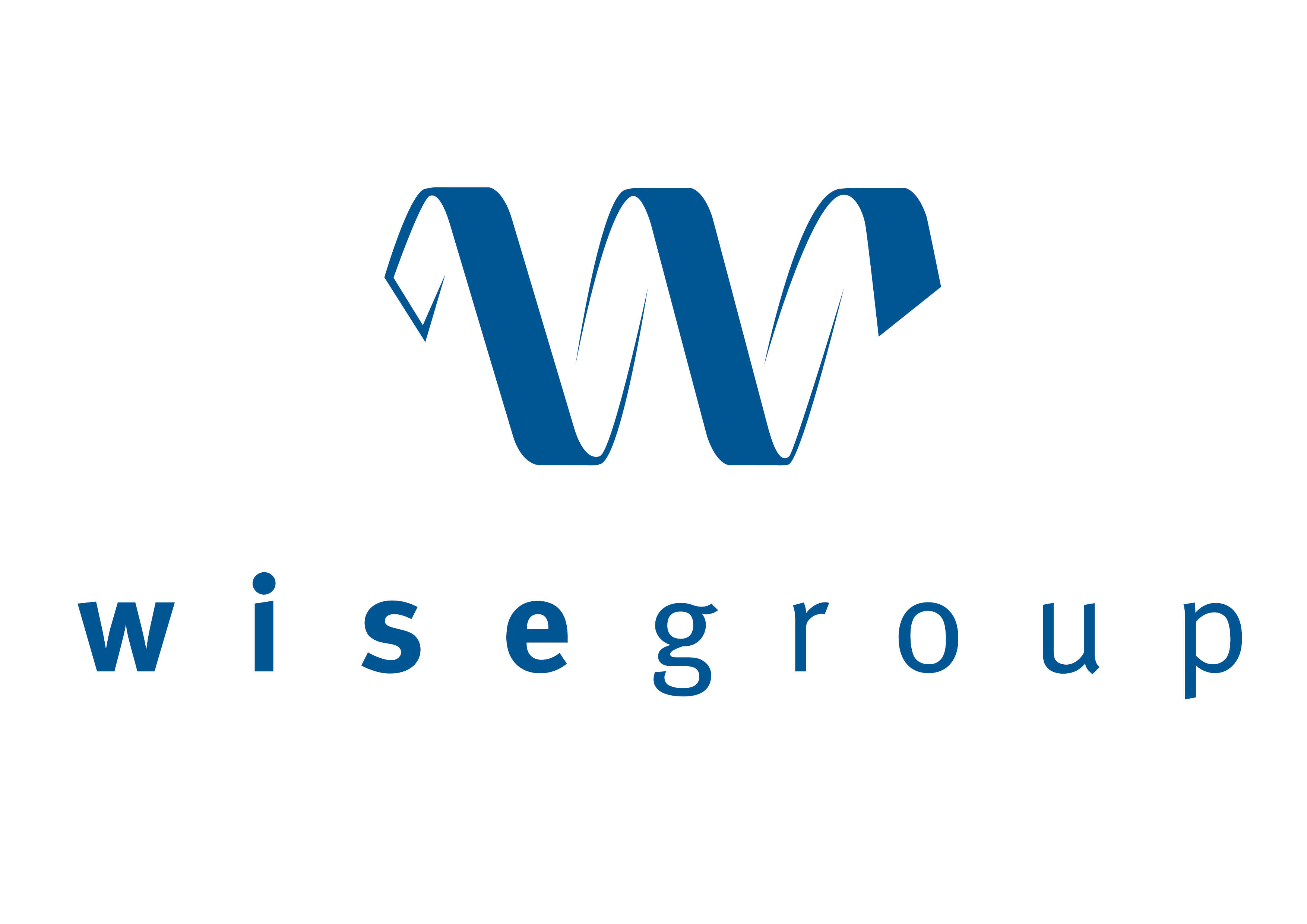 logo for The Wise Group