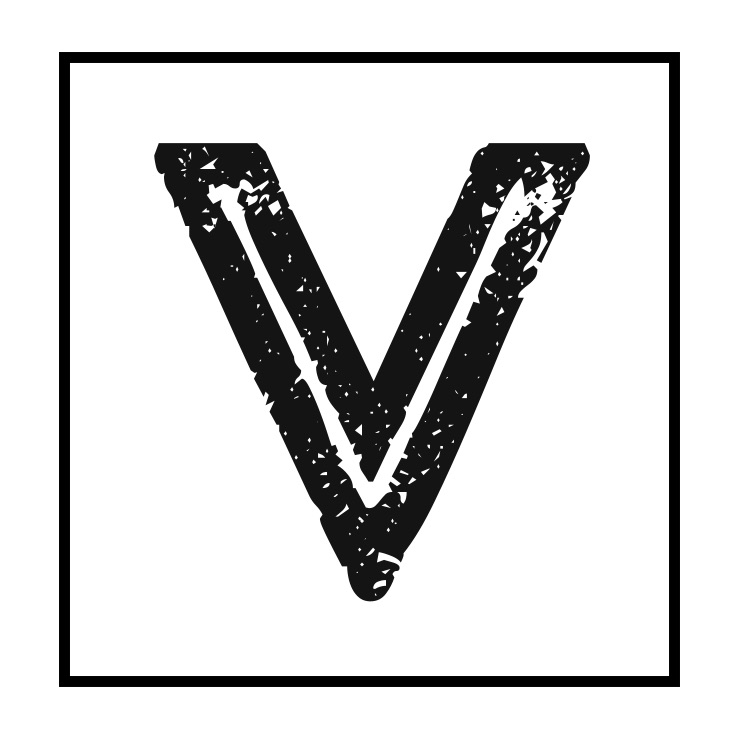 logo for Venture Solution Ltd