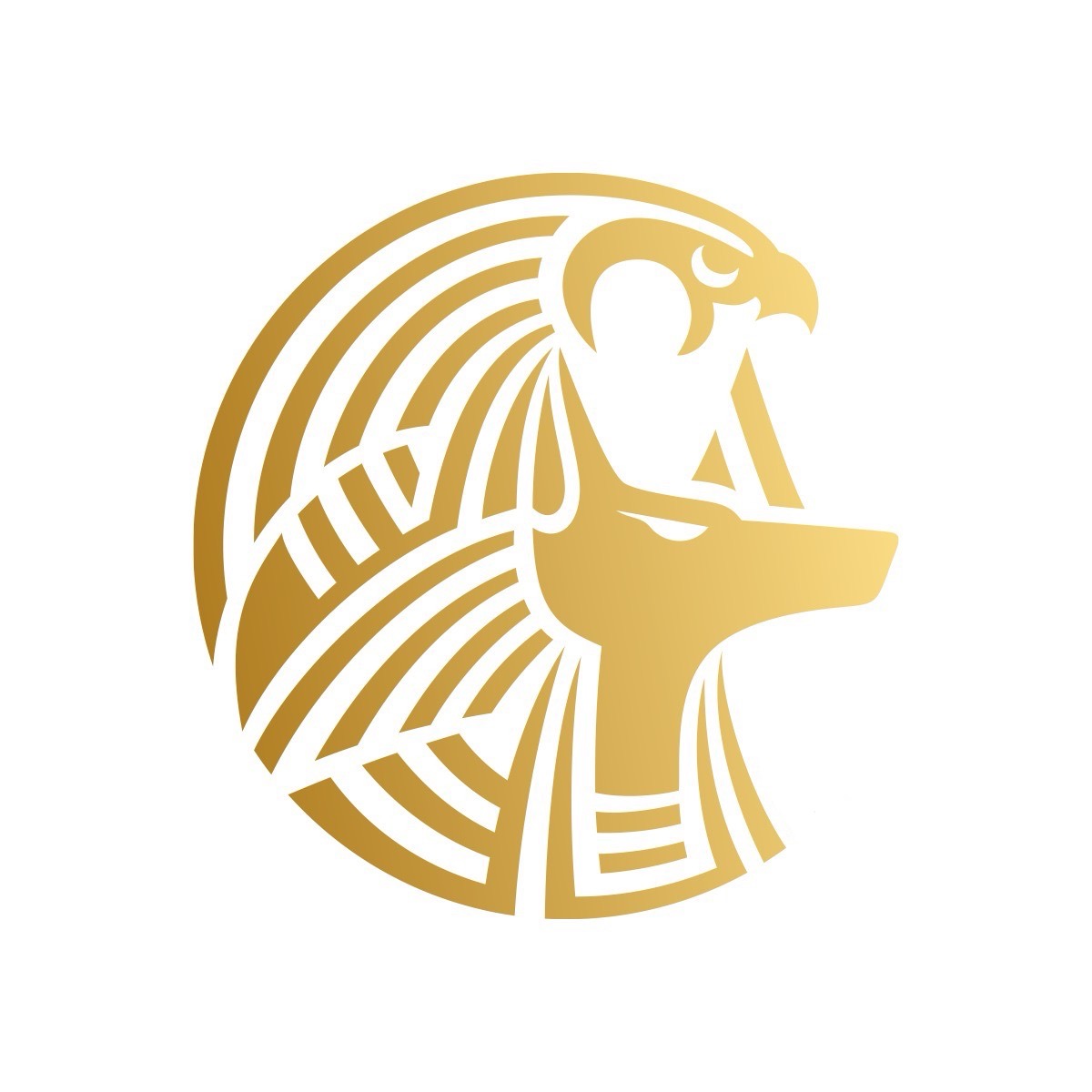 logo for Anubis Team Ltd