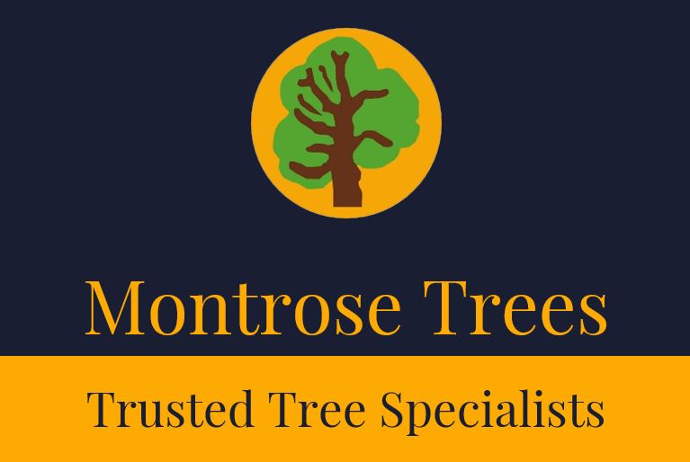 logo for Montrose Trees