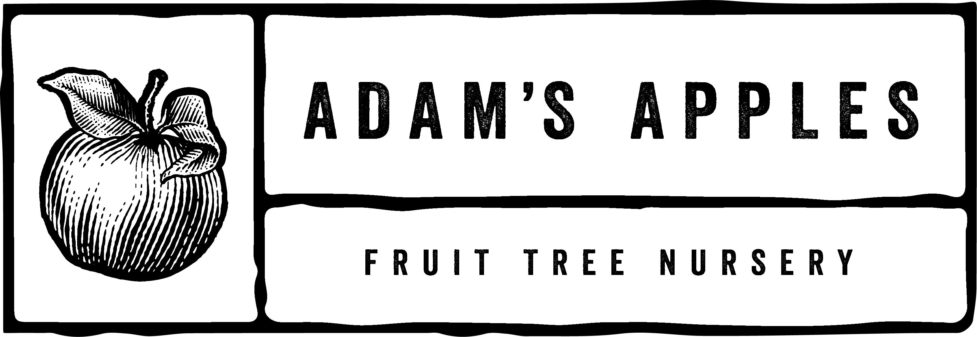 logo for Adam's Apples