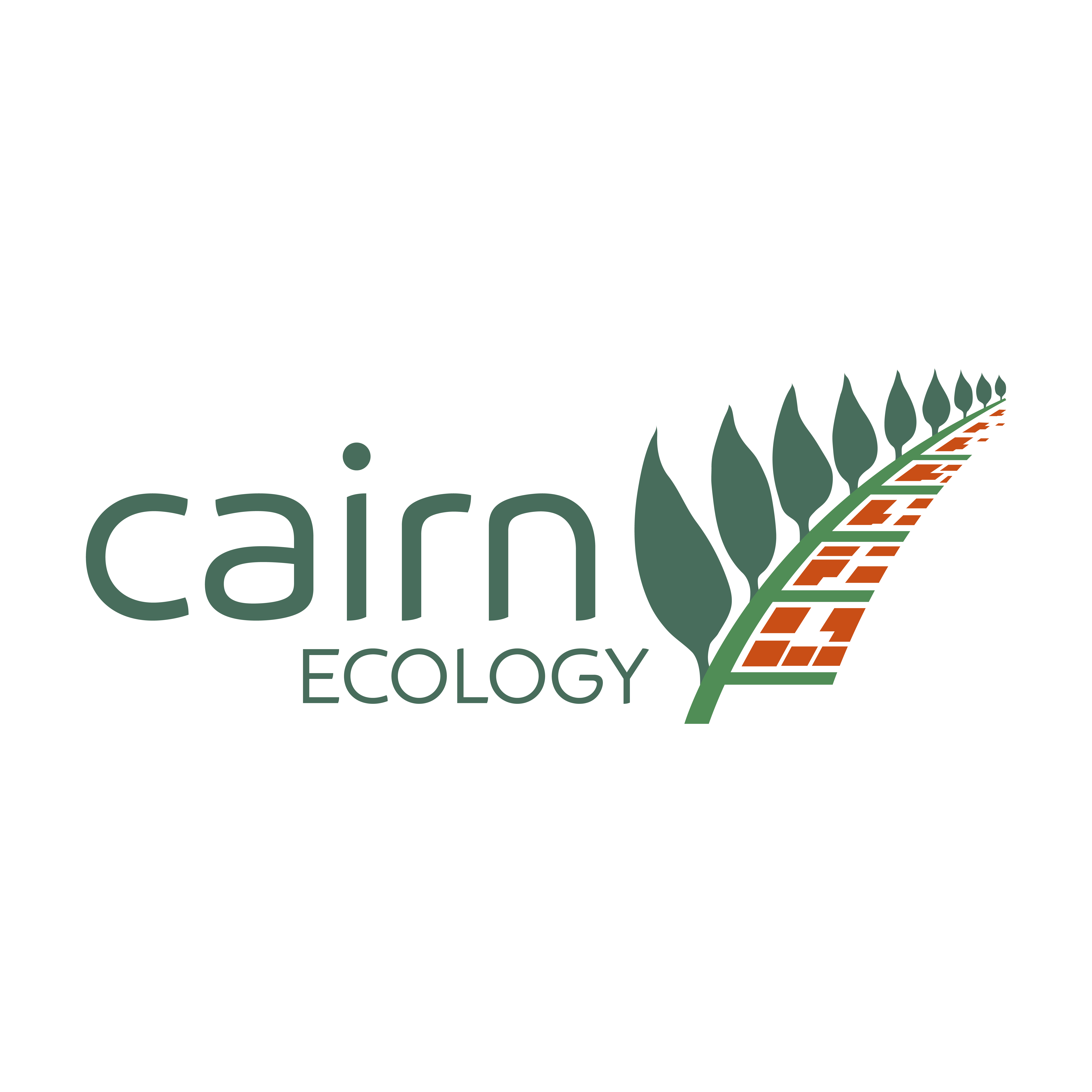 logo for Cairn Ecology Ltd