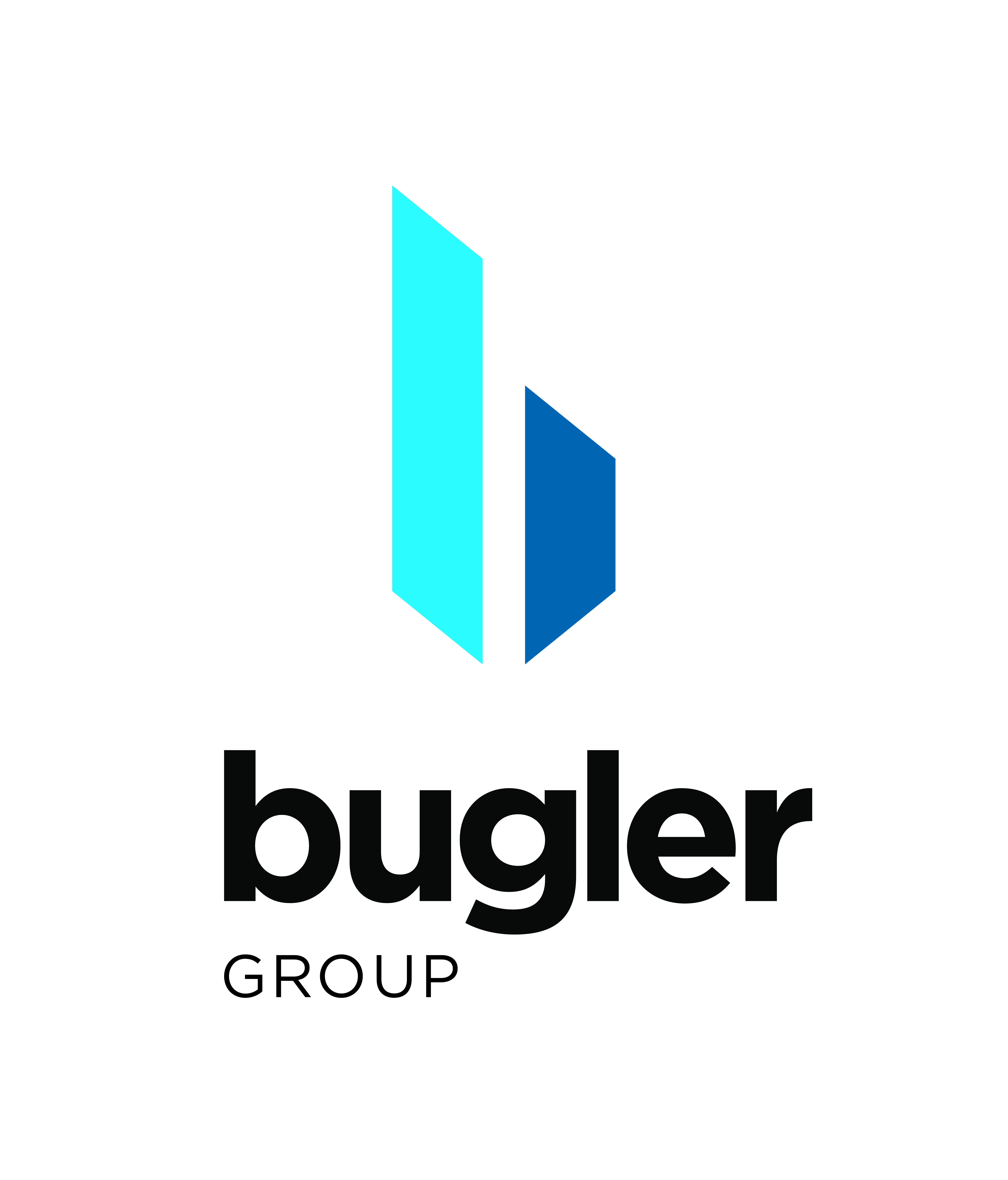 logo for Bugler Group Ltd