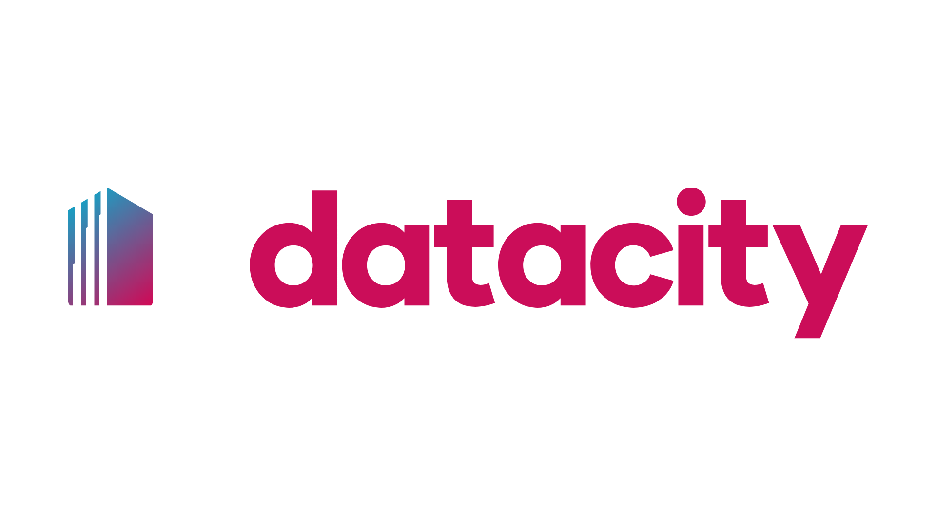 logo for The Data City
