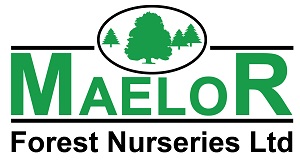 logo for Maelor Forest Nurseries