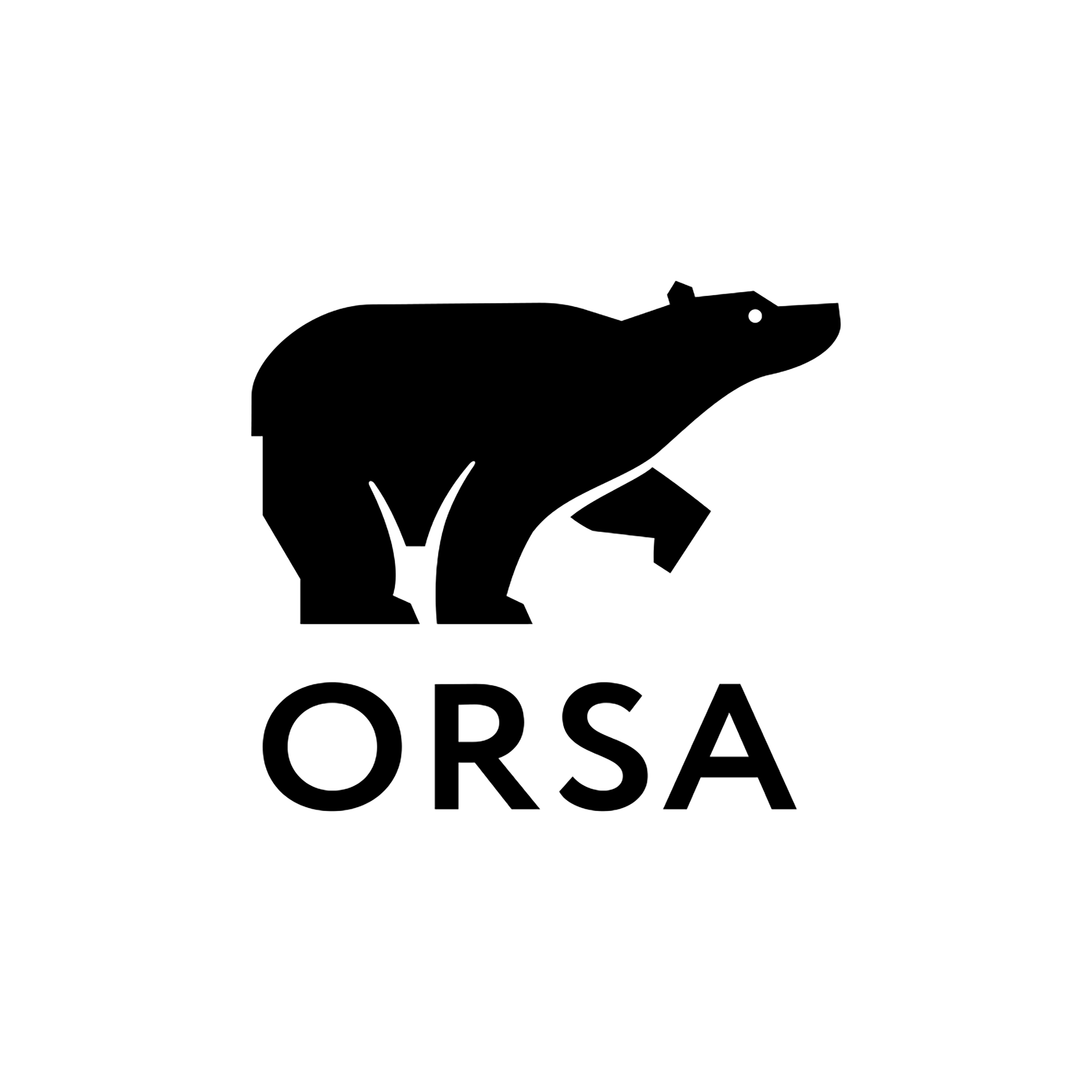 logo for ORSA
