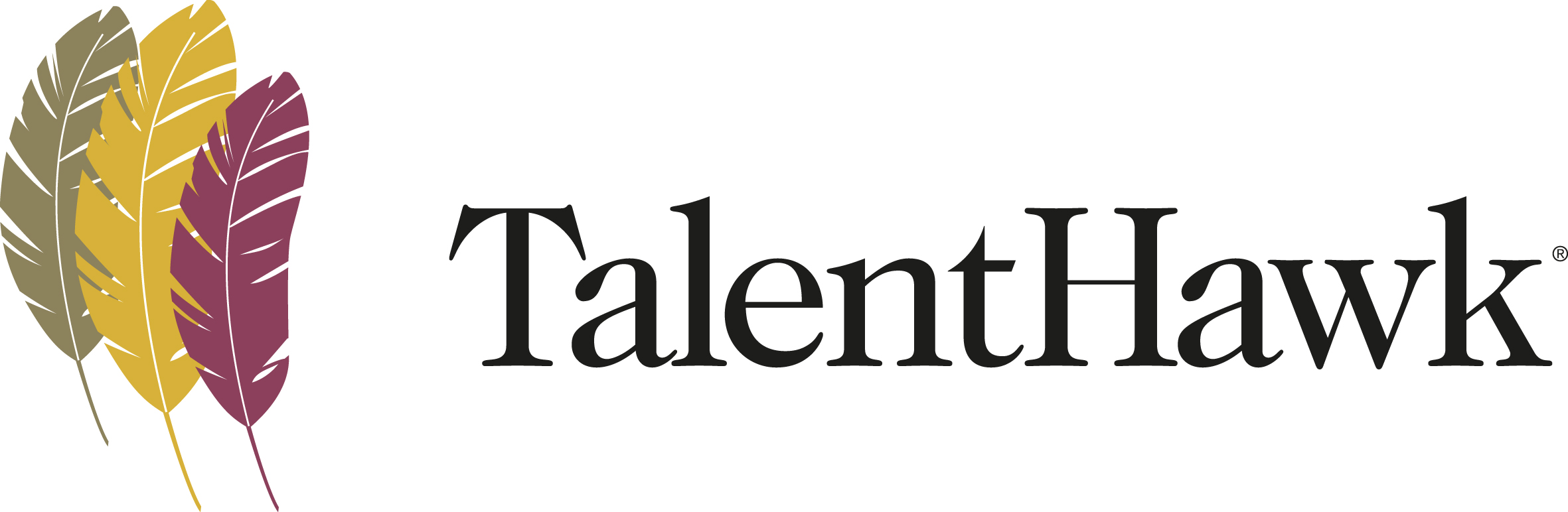 logo for TalentHawk Limited