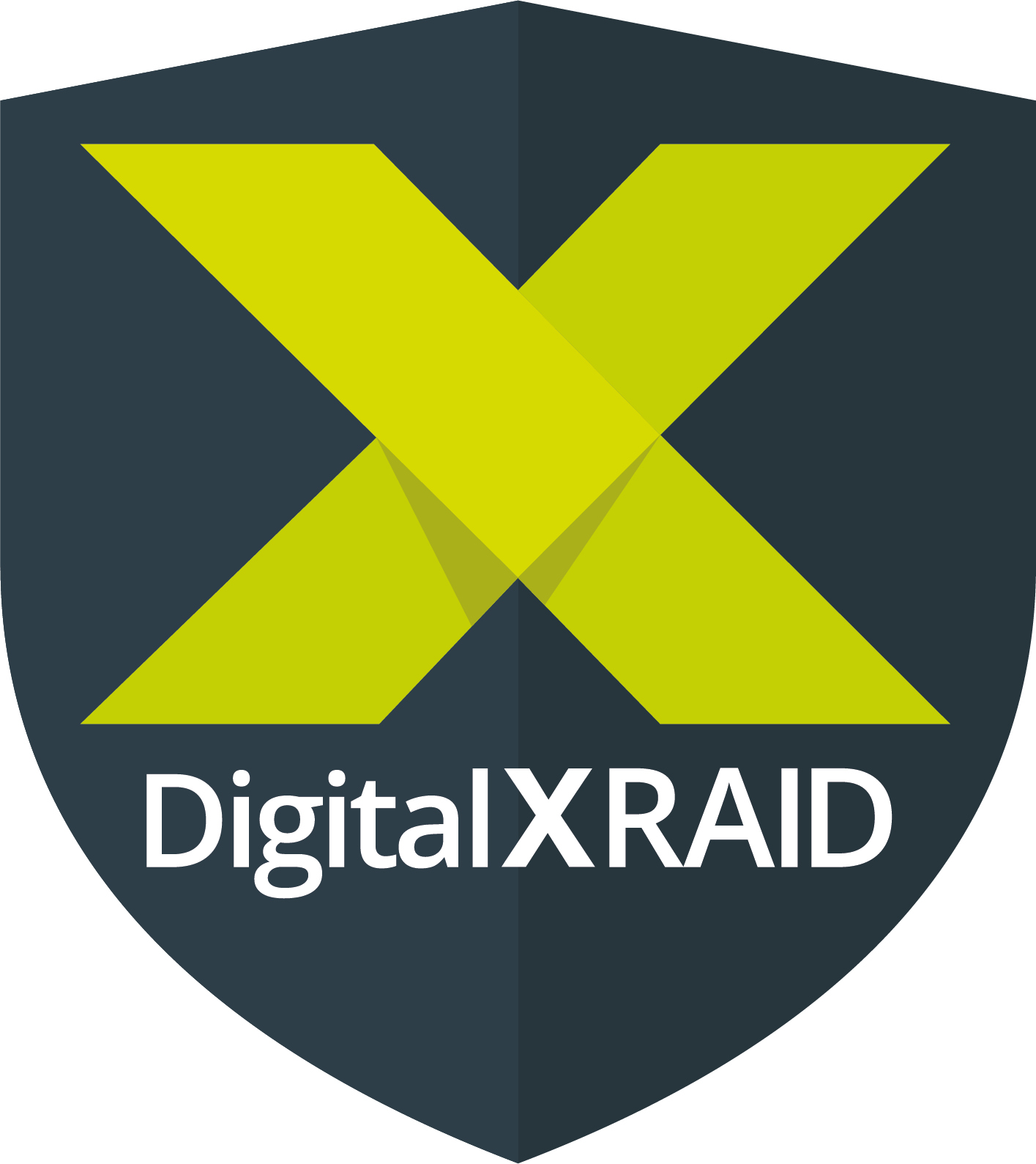 logo for DigitalXRAID Ltd
