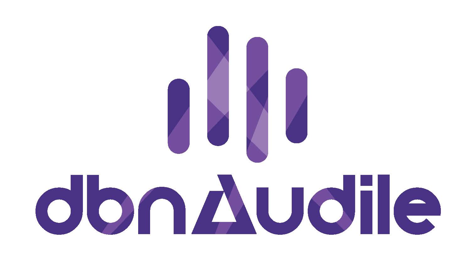 logo for dbnAudile Ltd