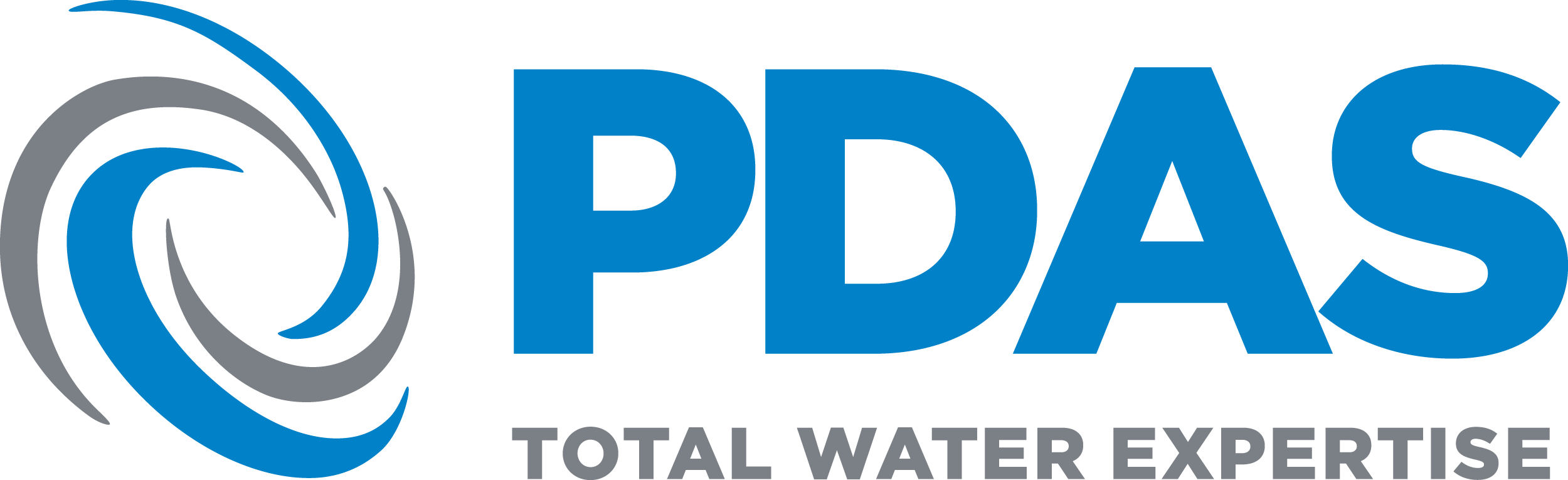 logo for Pump Design and Services Ltd