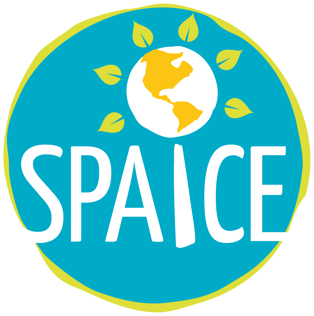 logo for Spaice