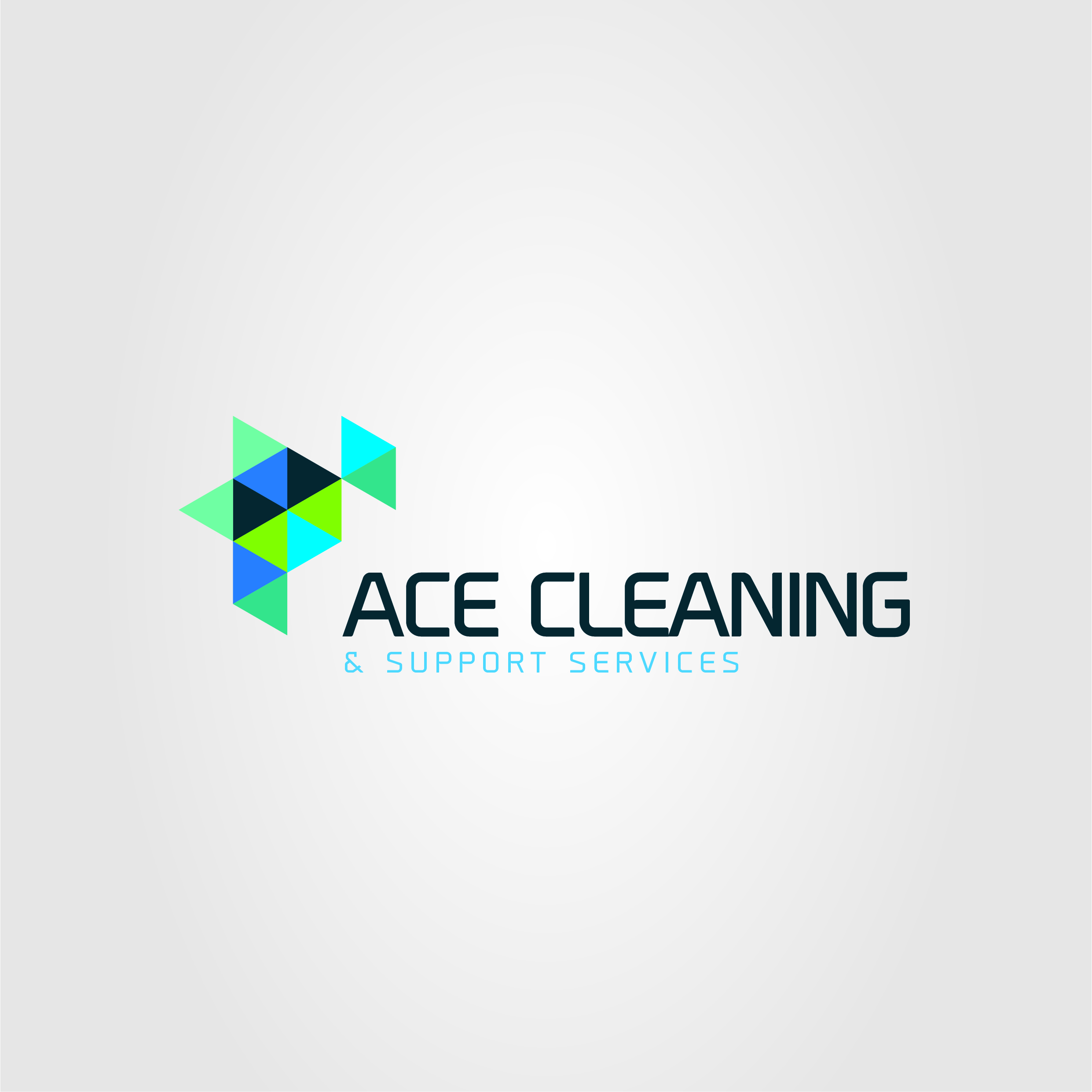 logo for ACE CLEANING AND SUPPORT SERVICES LTD