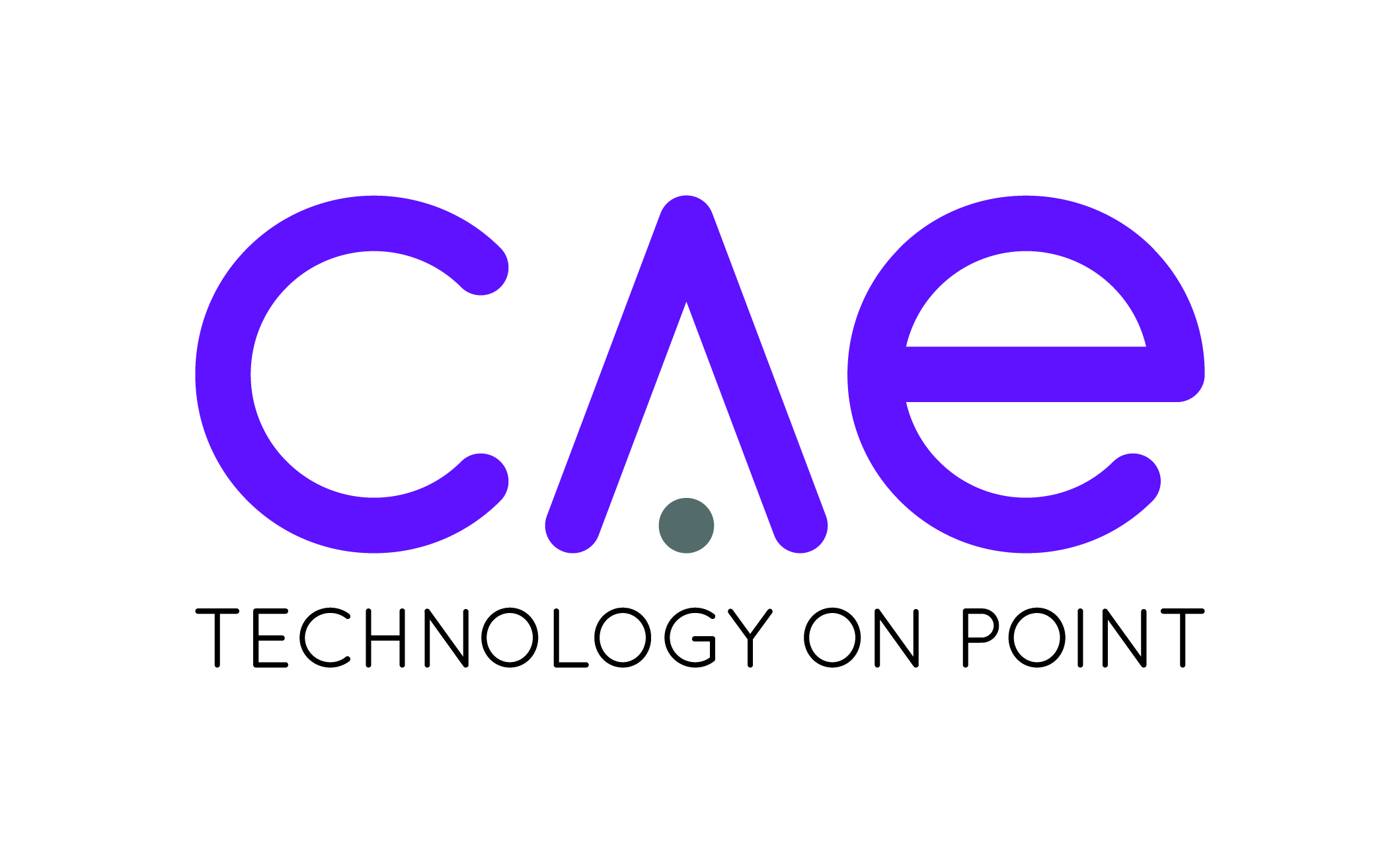 logo for CAE Technology Service Ltd