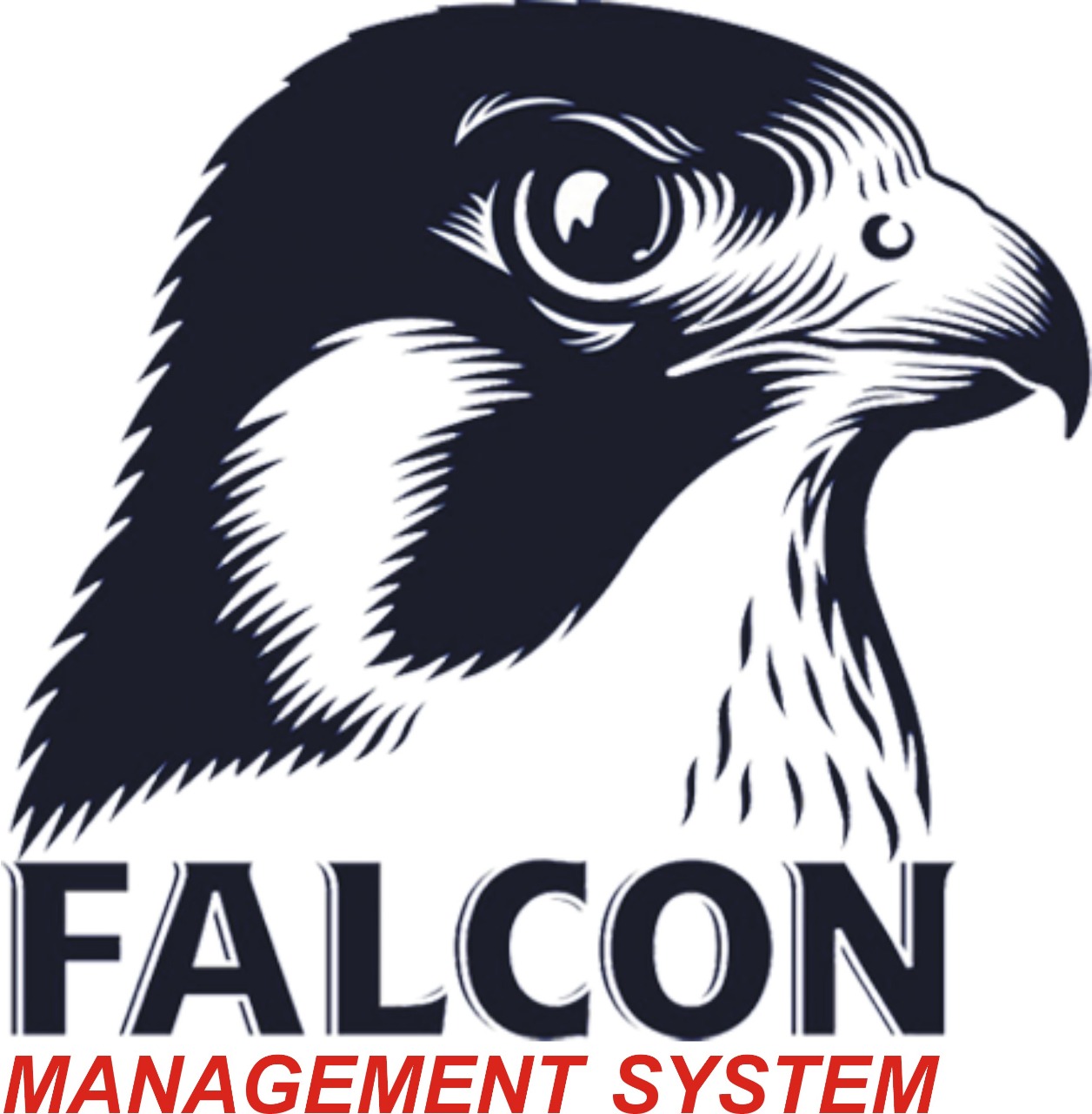 logo for falcon management system ltd