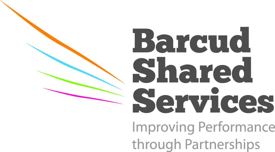logo for Barcud Shared Services Limited