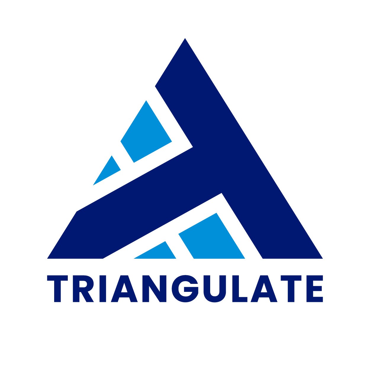 logo for Triangulate
