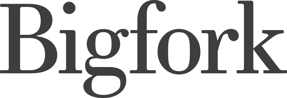 logo for Bigfork Limited
