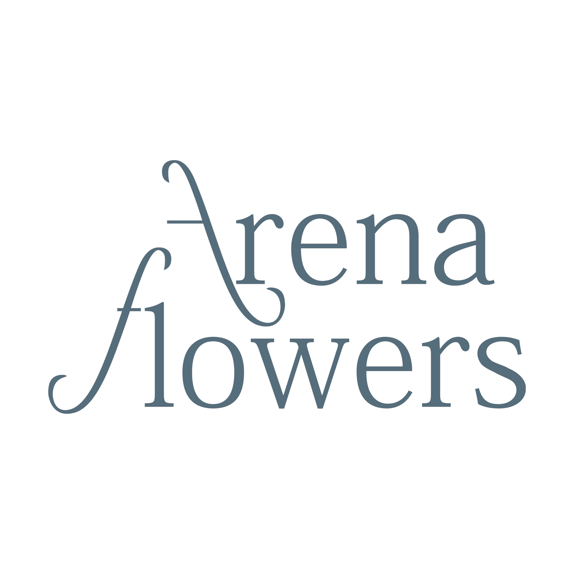 logo for Arena Online Ltd