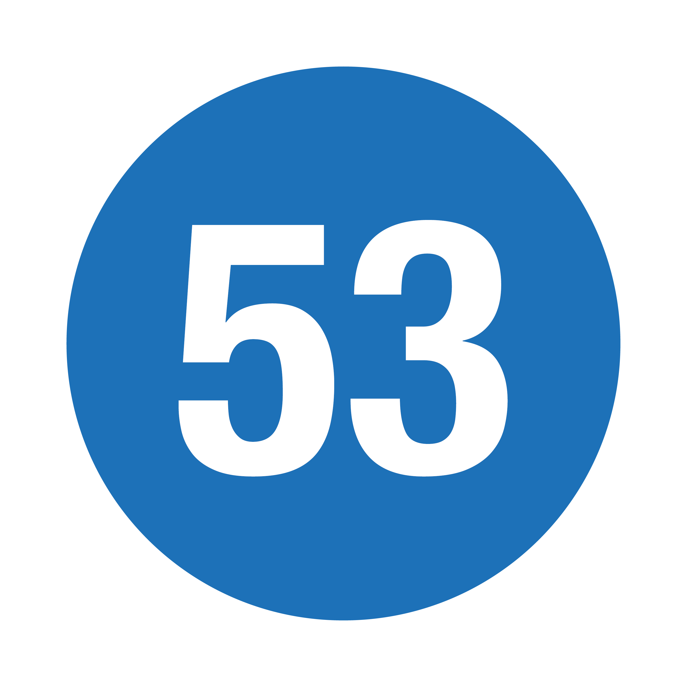 logo for Vineyard 53