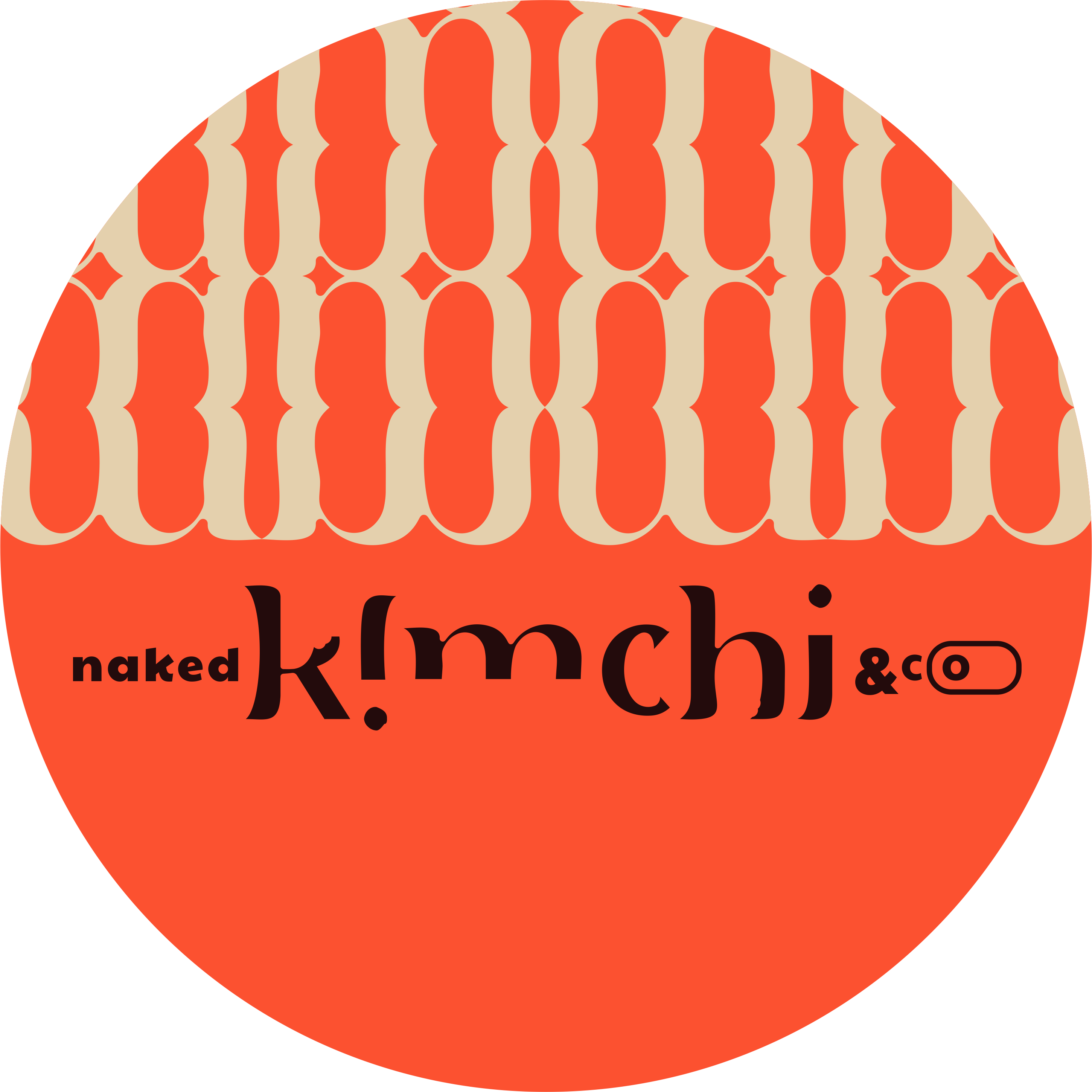 logo for Naked Kimchi & Co