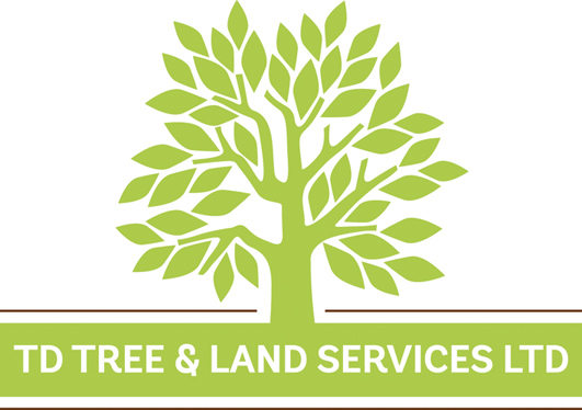 logo for TD Tree & Land Services Ltd