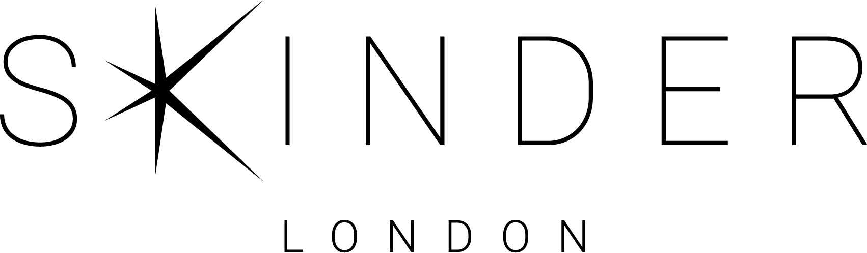 logo for SKINDER