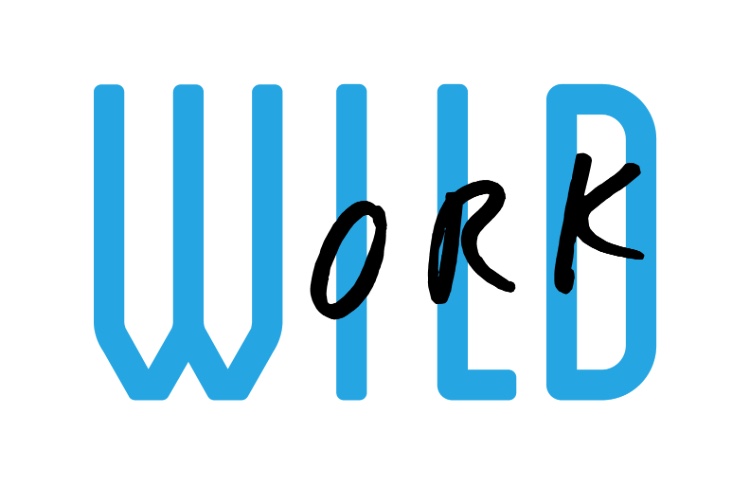 logo for WorkWild