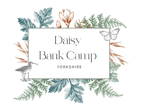 logo for Daisy Bank Camp Limited