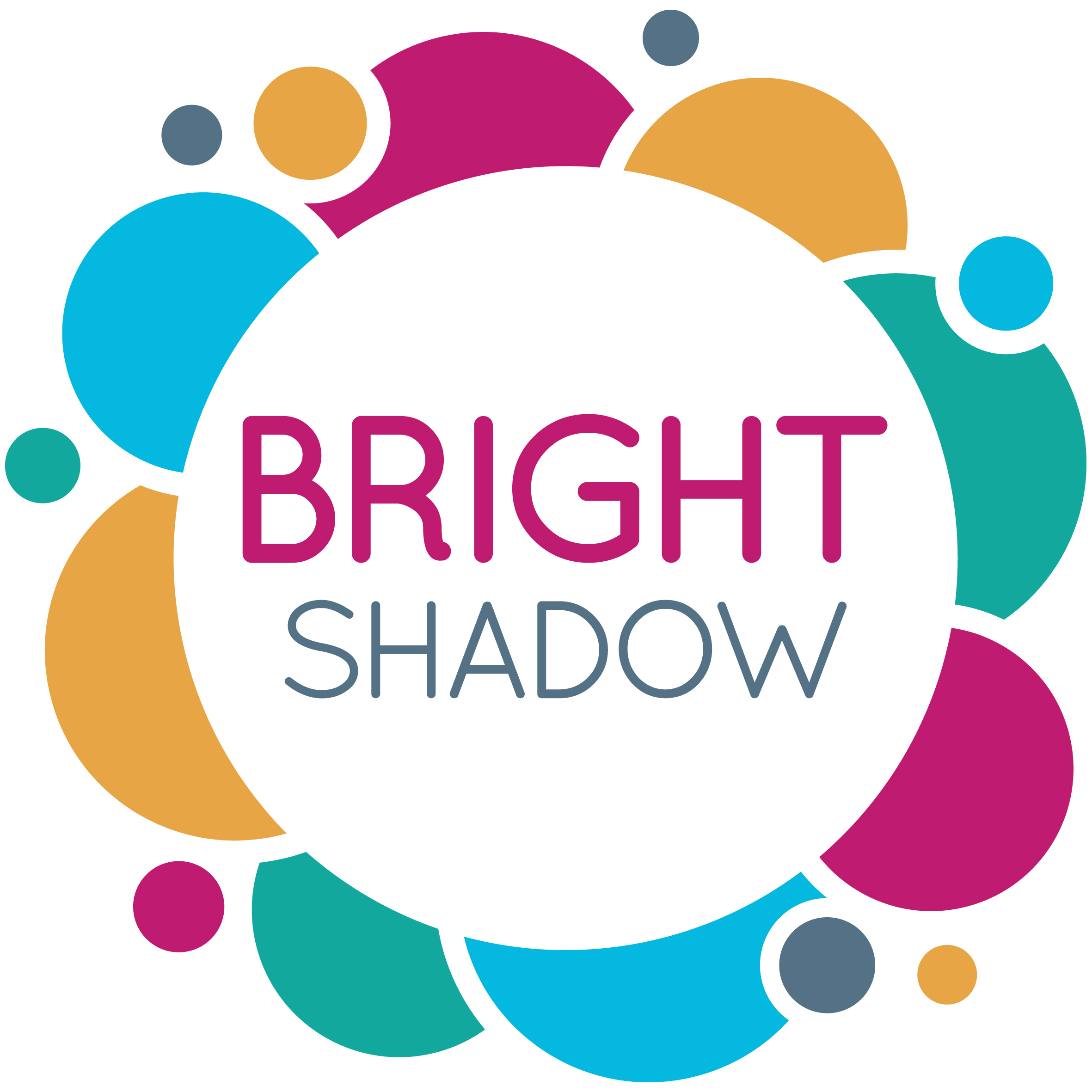 logo for Bright Shadow CIO