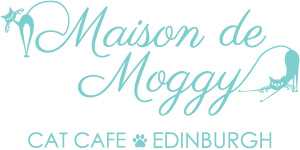 logo for Maison de Moggy