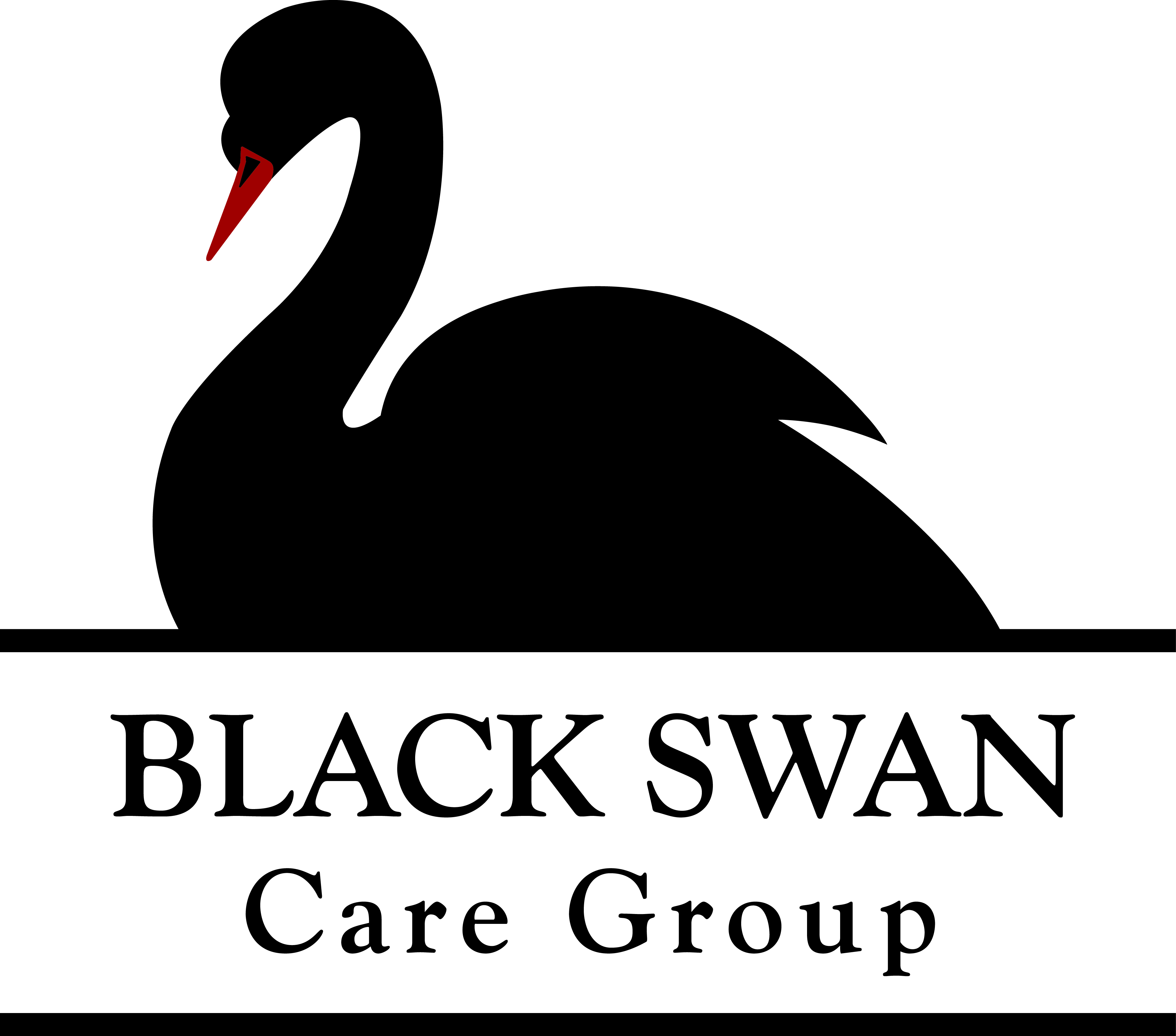 logo for Black Swan Care Group