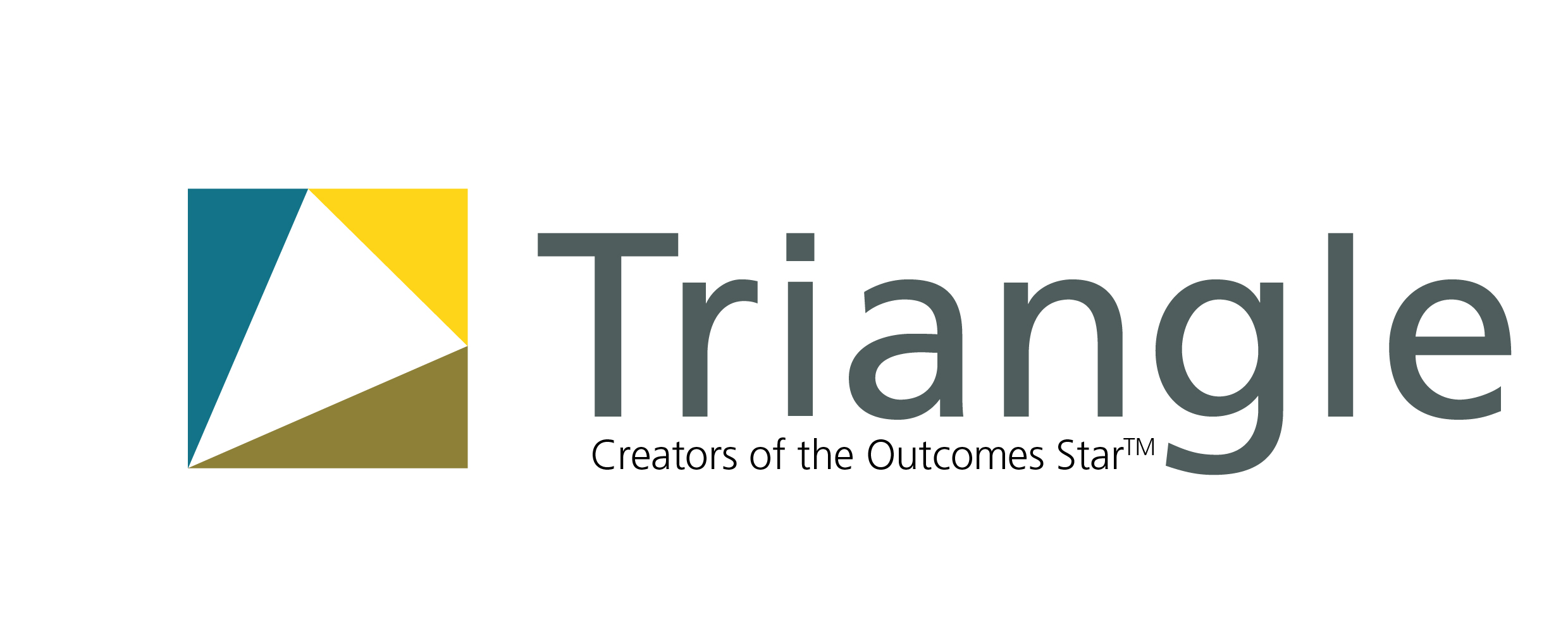 logo for Triangle Consulting