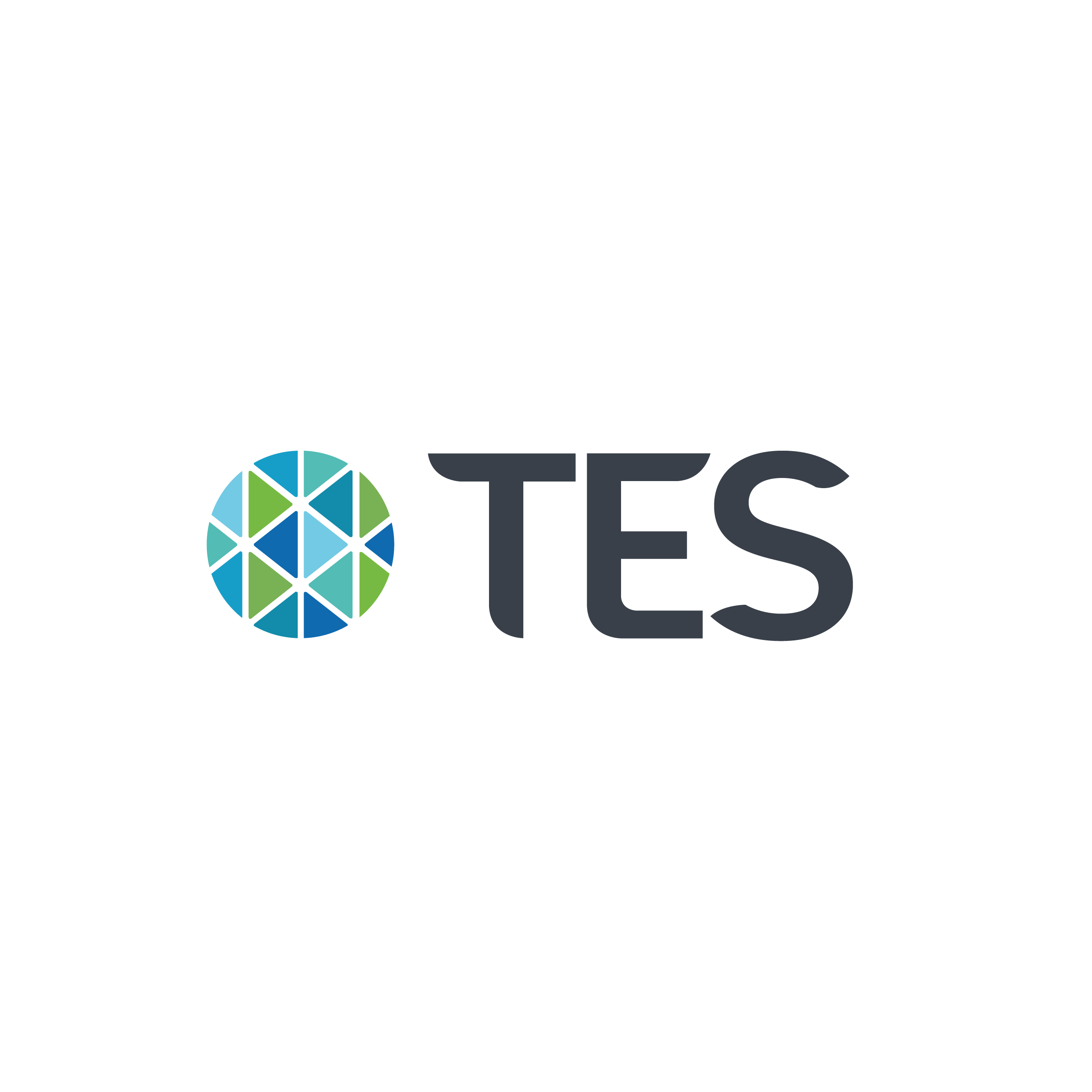 logo for Total Enterprise Solutions Limited