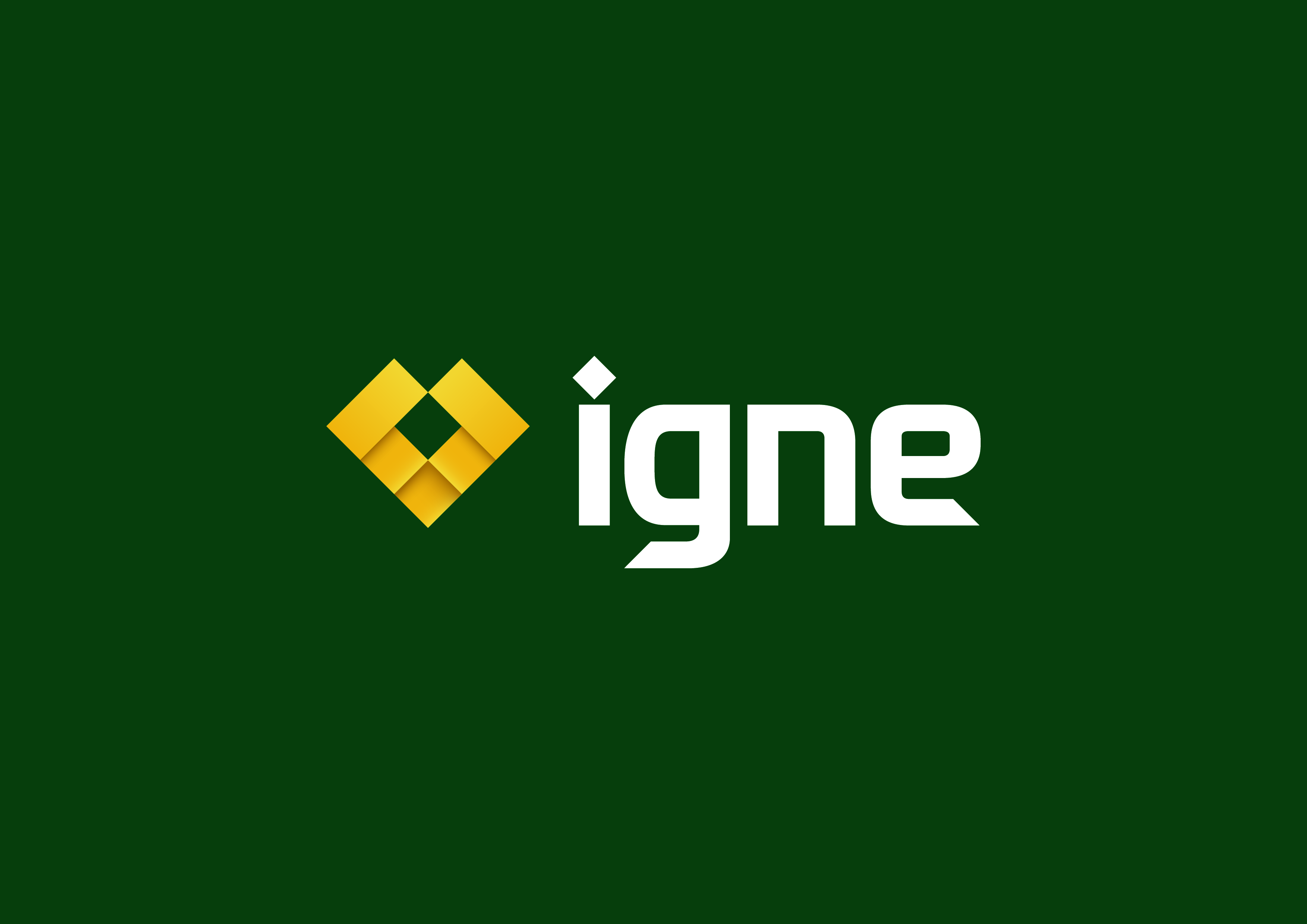 logo for Igne Group Limited