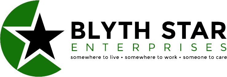 logo for Blyth Star Enterprises Limited