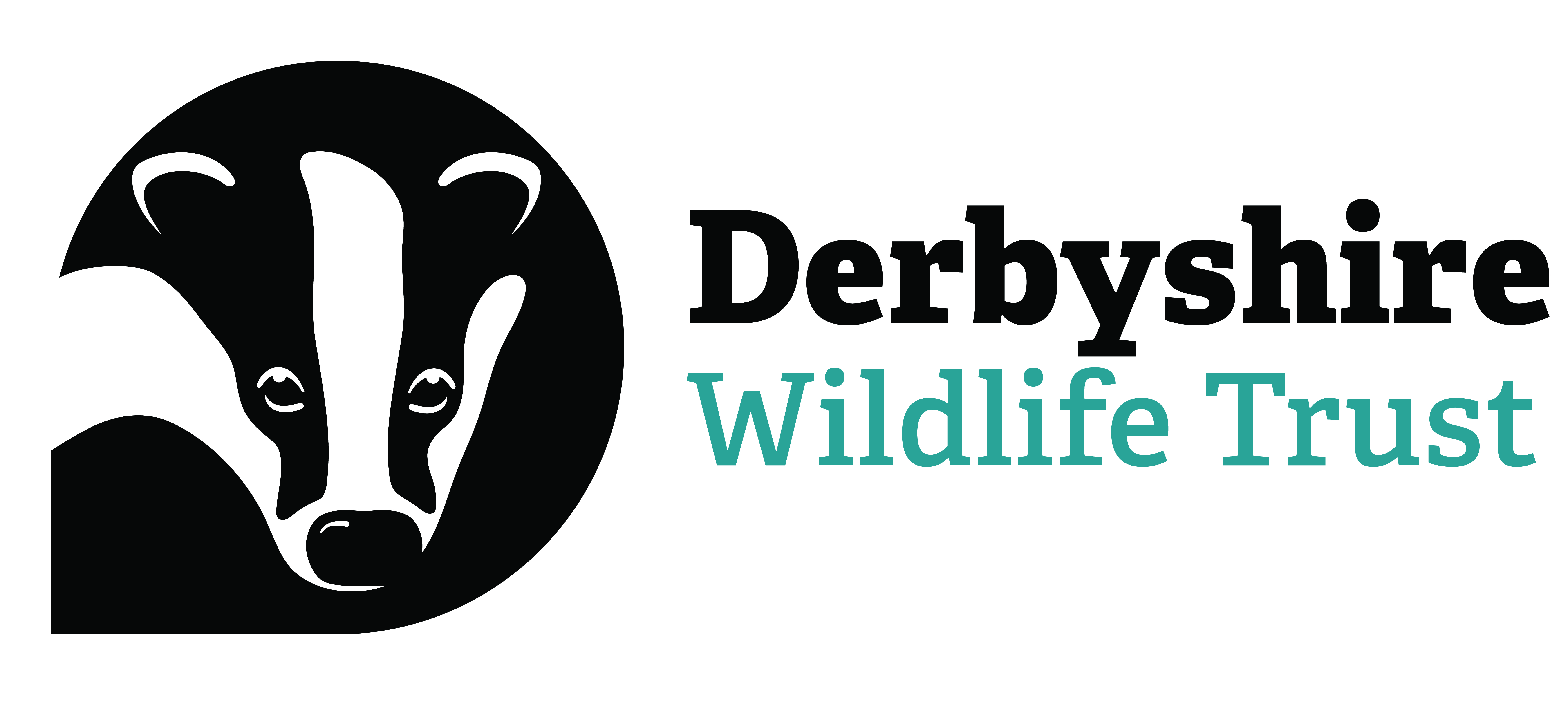 logo for Derbyshire Wildlife Trust