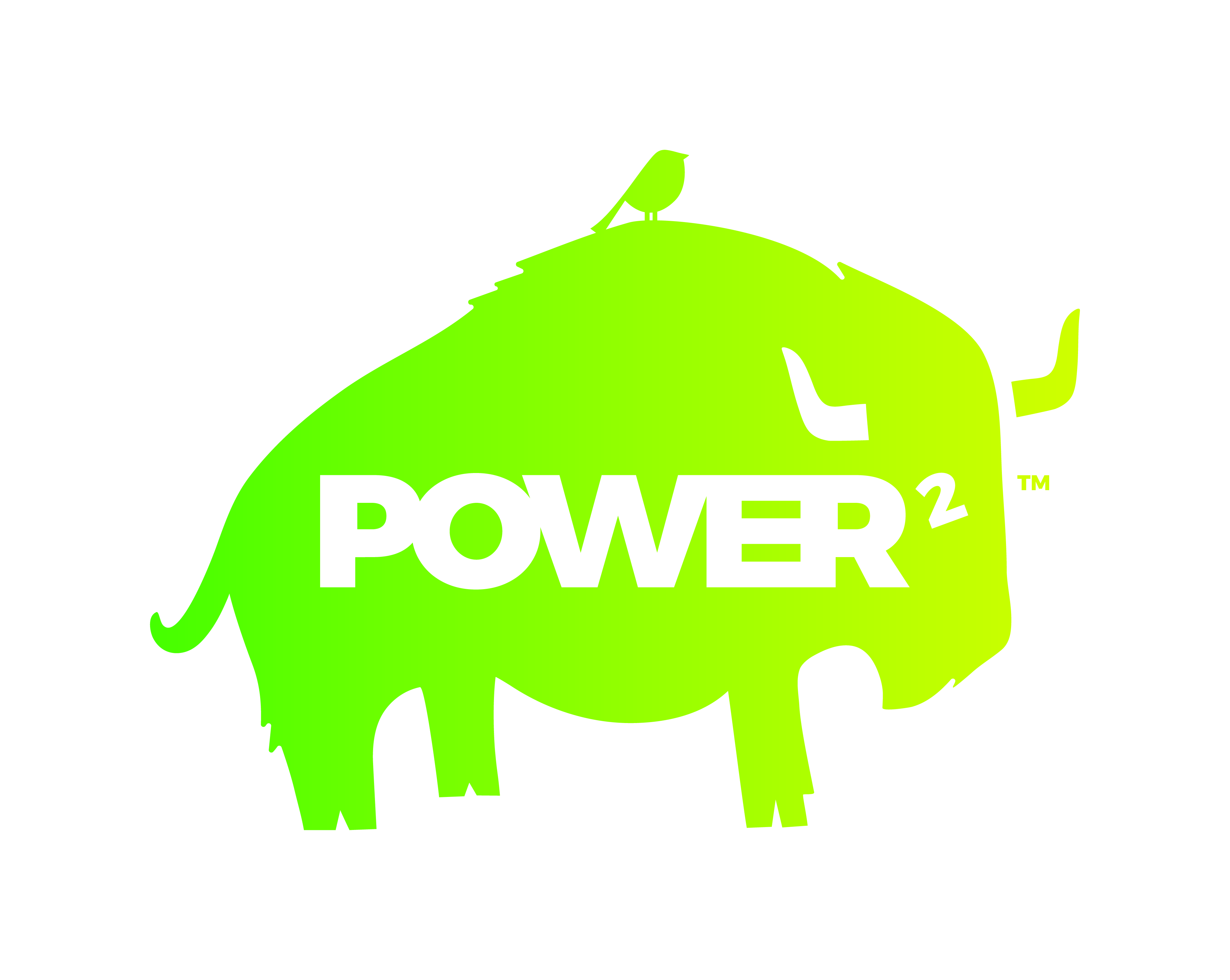 logo for Power2