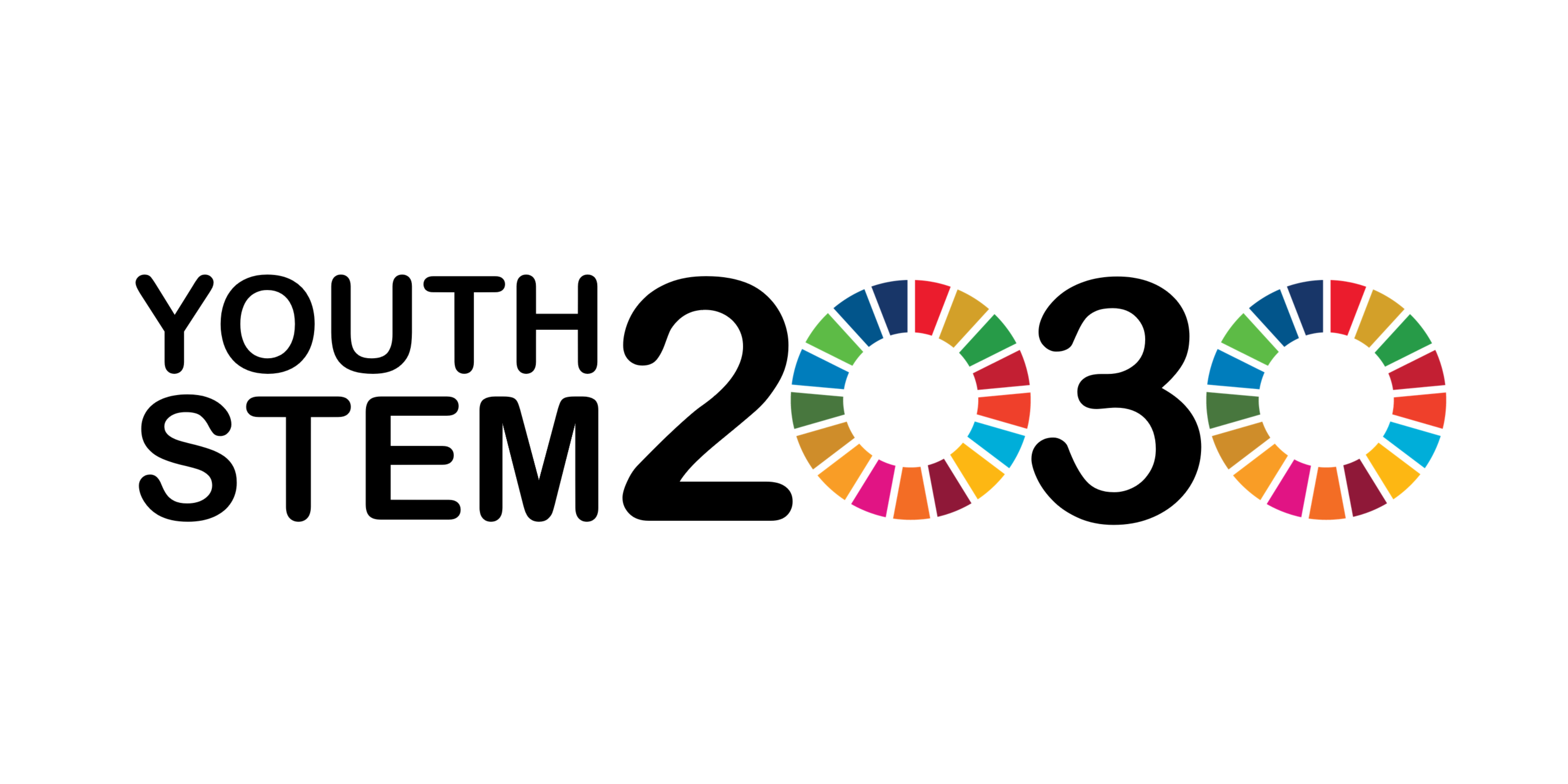 logo for Youth STEM 2030