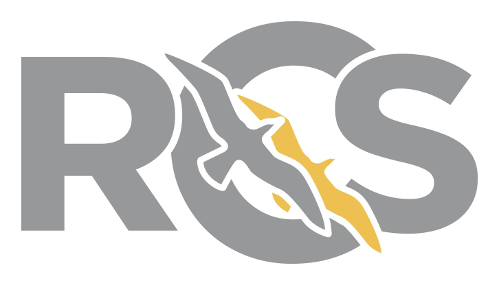 logo for RCS (Rhyl City Strategy)