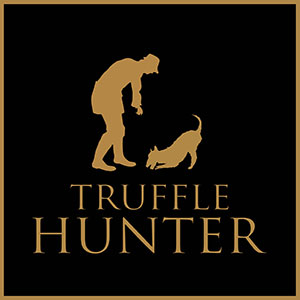 logo for TruffleHunter Ltd