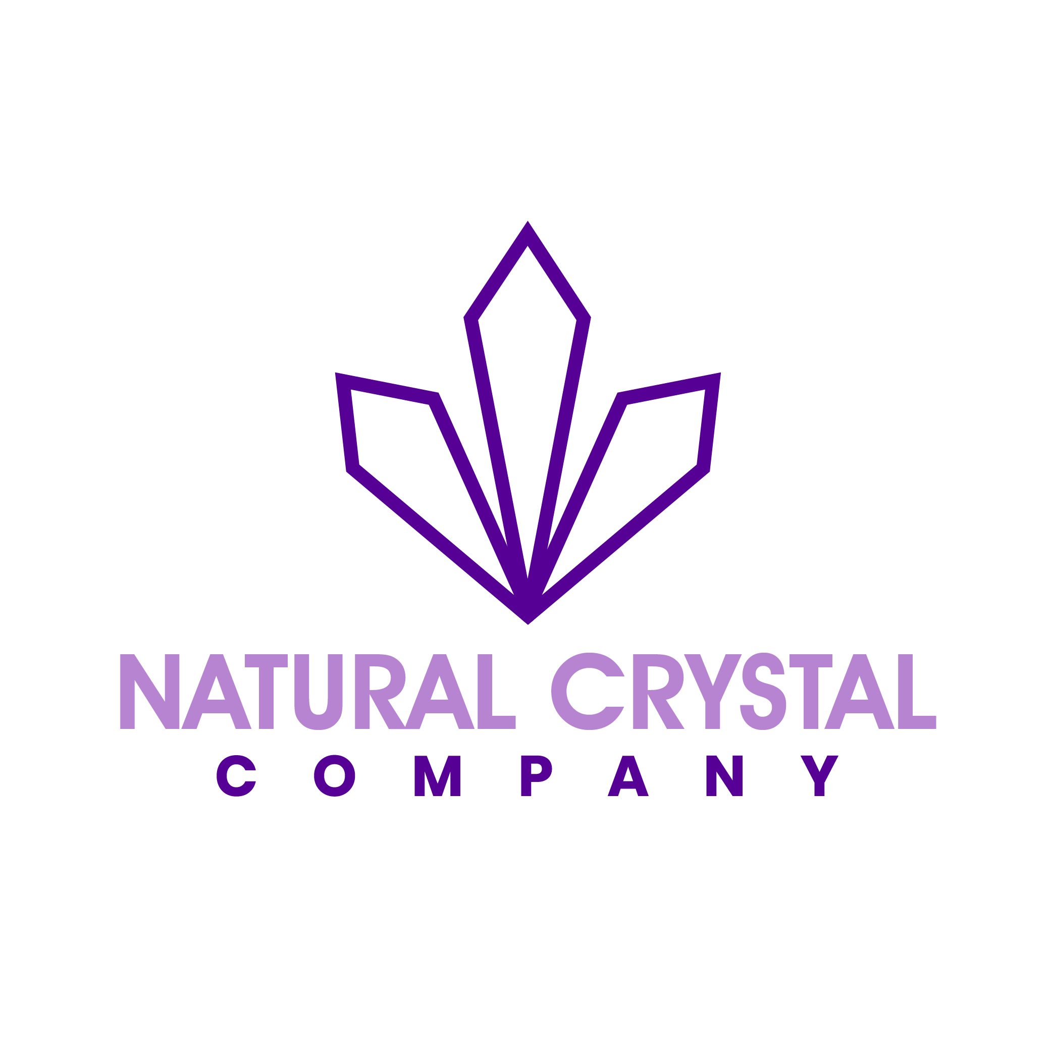 logo for The Natural Crystal Company Limited